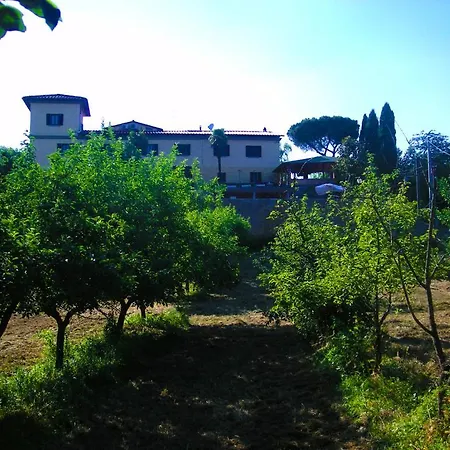 Landsted Il Puccetto *